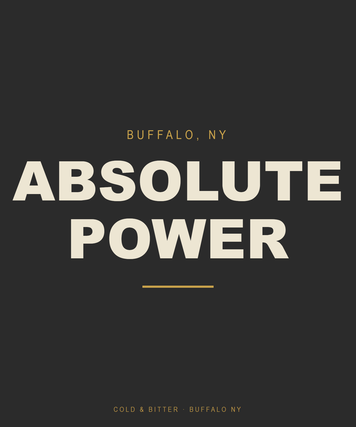 Absolute Power — Buffalo NY t-shirt
