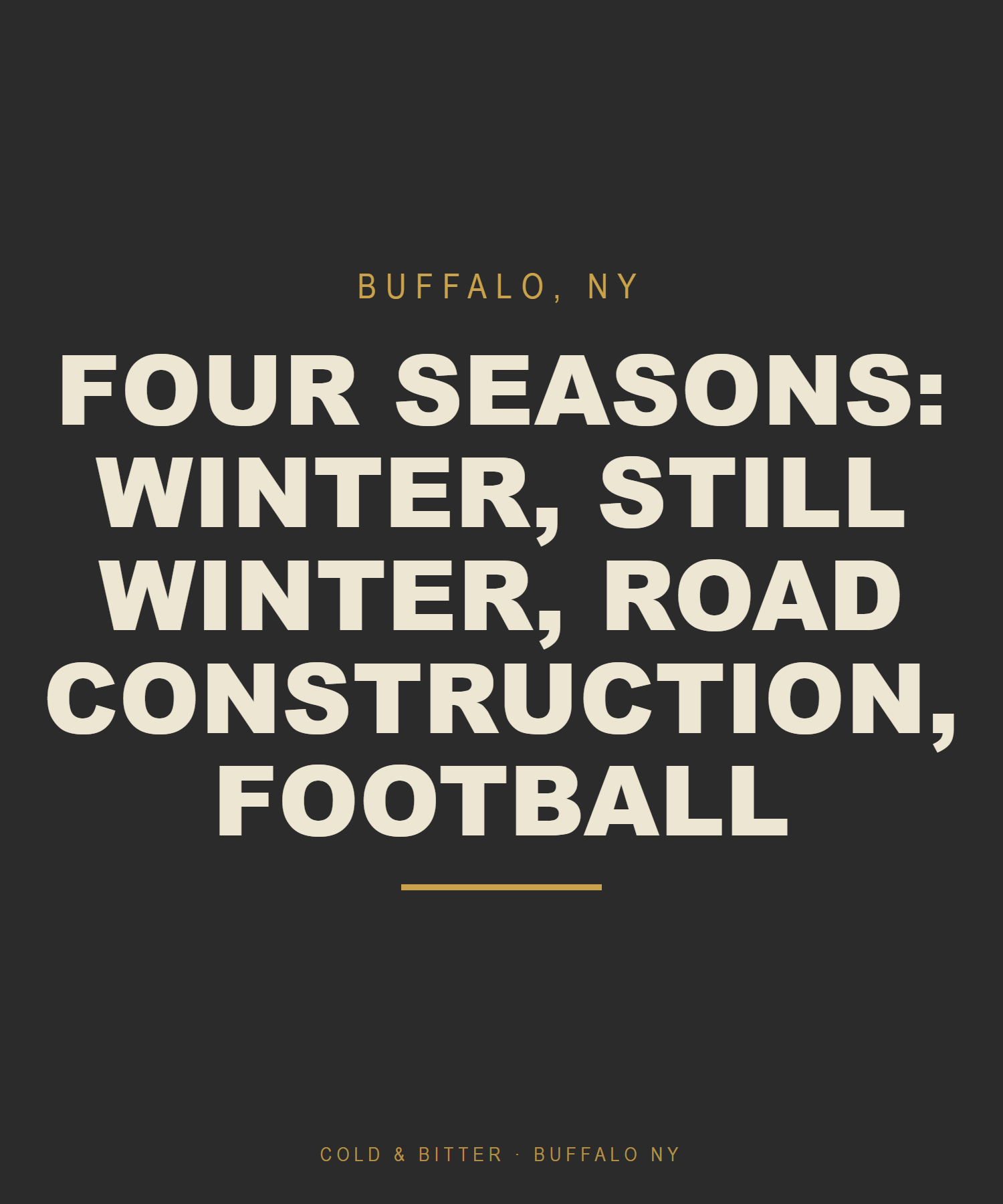 Four Seasons: Winter, Still Winter, Road Construction, Football — Buffalo NY t-shirt
