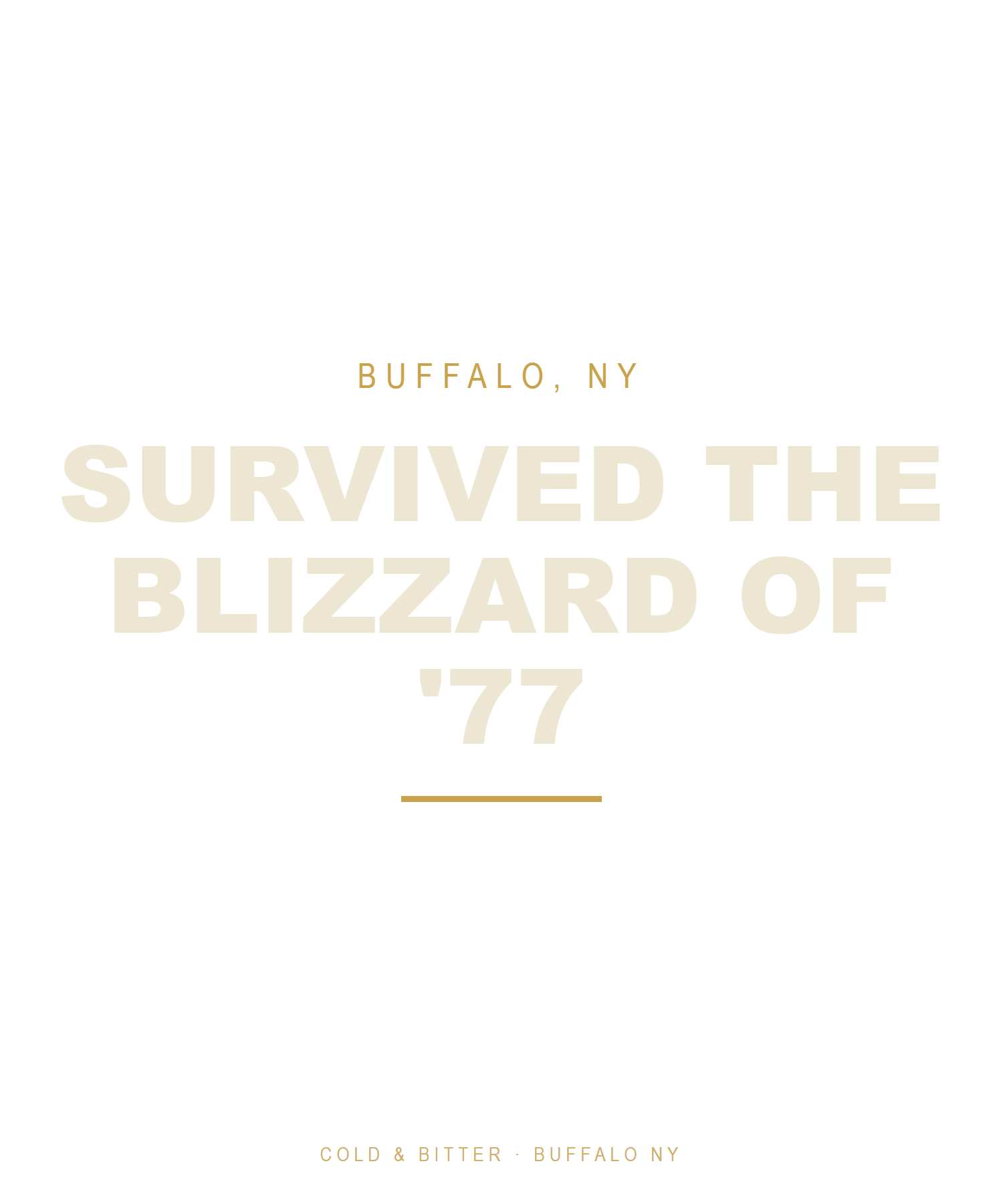 Survived The Blizzard Of '77 — Black garment