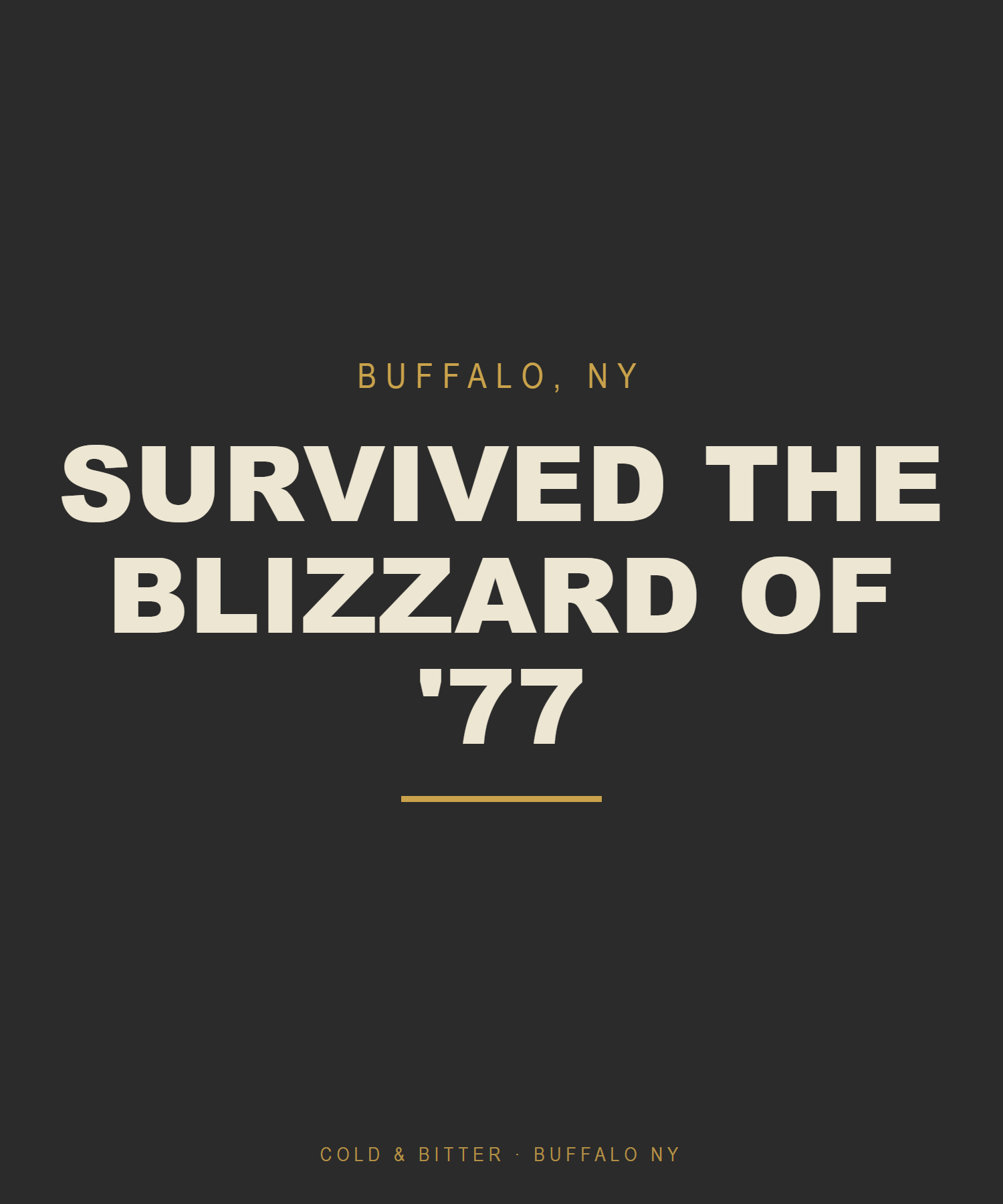 Survived The Blizzard Of '77 — Buffalo NY t-shirt