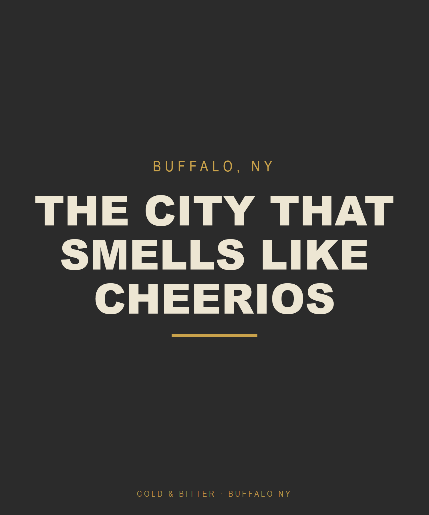 The City That Smells Like Cheerios — Buffalo NY t-shirt