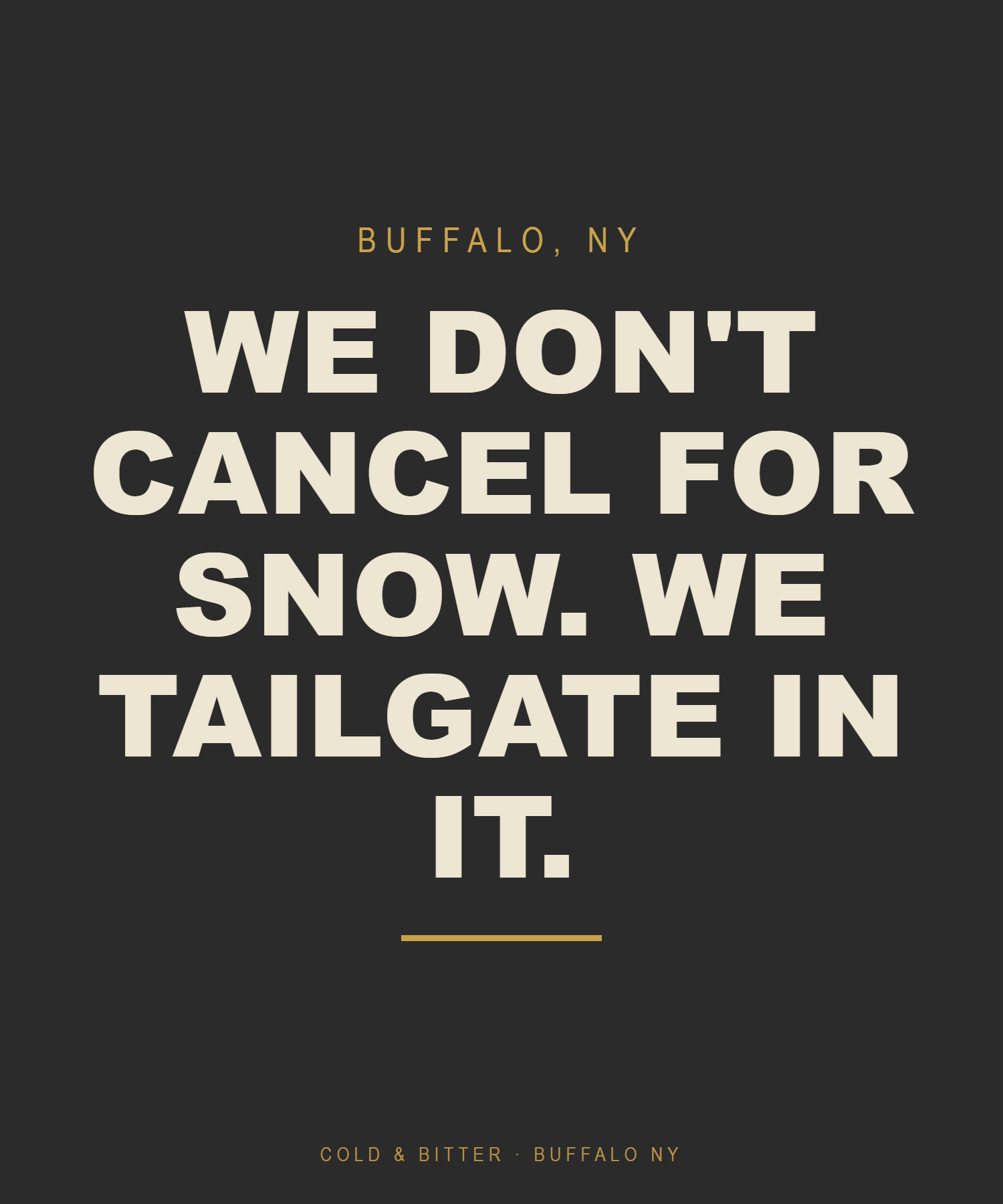 We Don't Cancel For Snow. We Tailgate In It. — Buffalo NY t-shirt